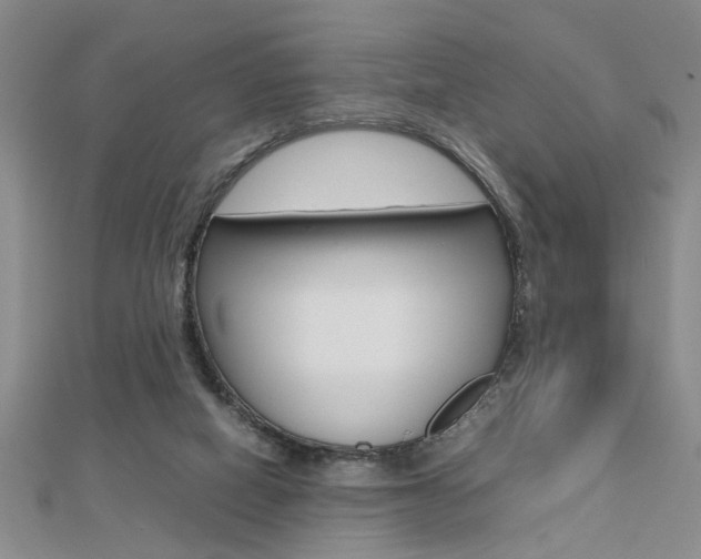 X0000112470066200908170959