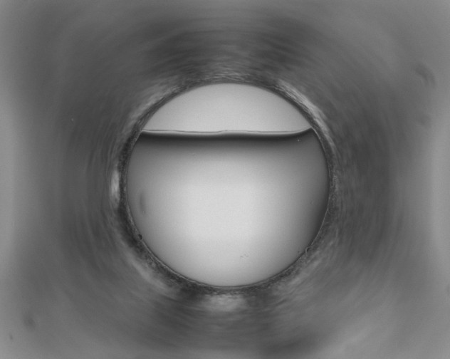 X0000112470067200908170959