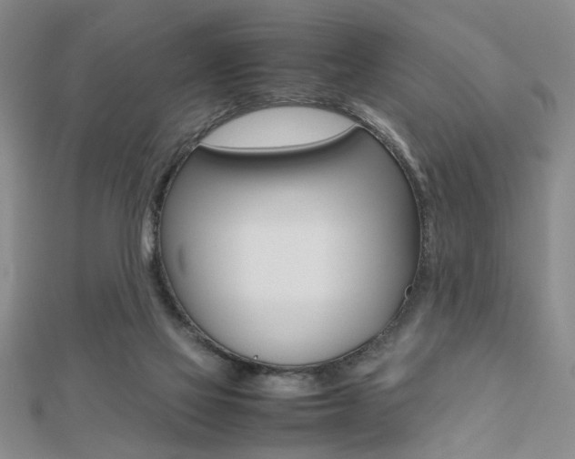 X0000112470069200908170959