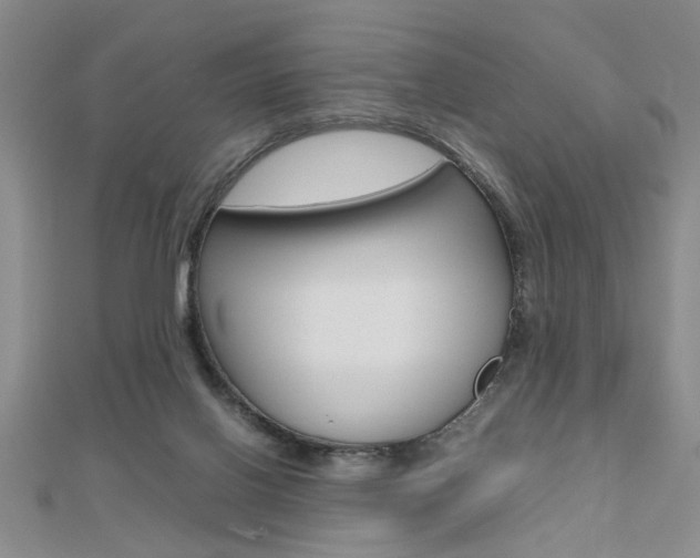 X0000112470070200908170959