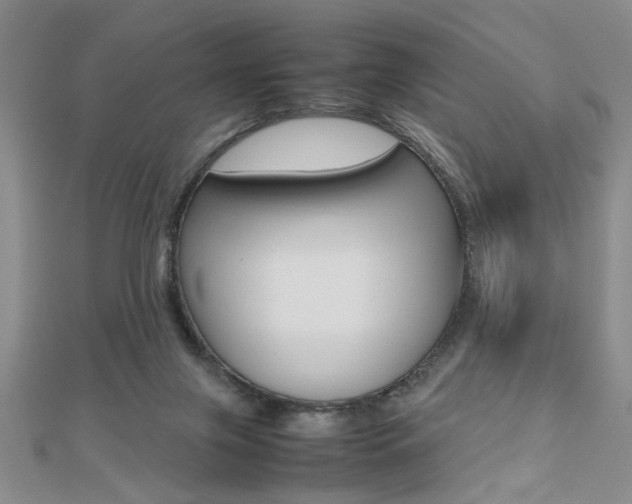 X0000112470071200908170959