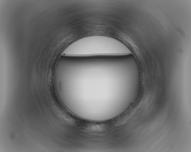 X0000112470073200908170959