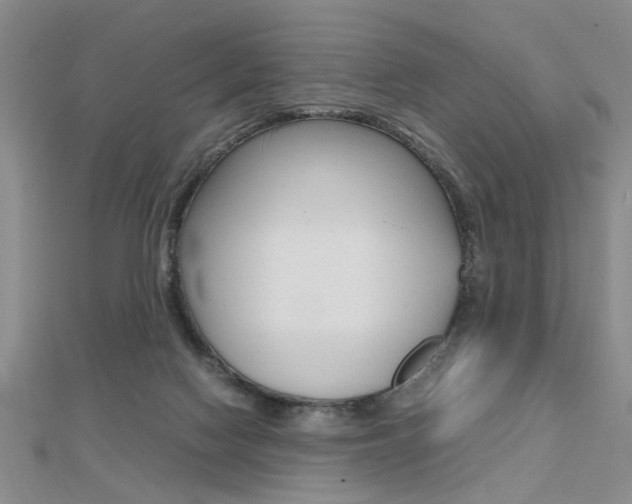 X0000112470074200908170959