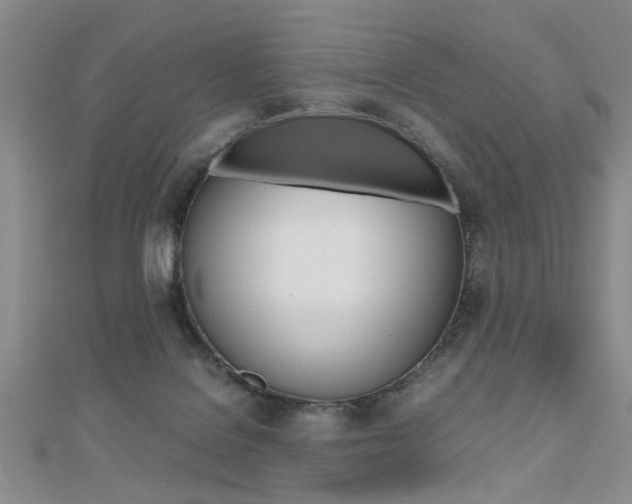 X0000112470076200908170959