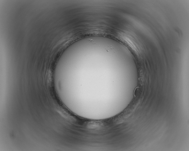 X0000112470077200908170959