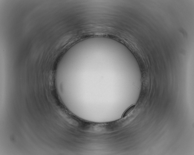 X0000112470078200908170959