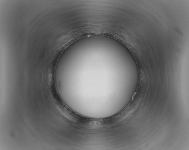 X0000112470080200908170959