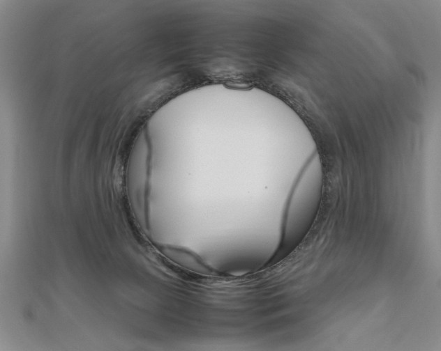 X0000112470081200908170959
