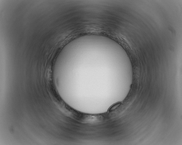 X0000112470083200908171000