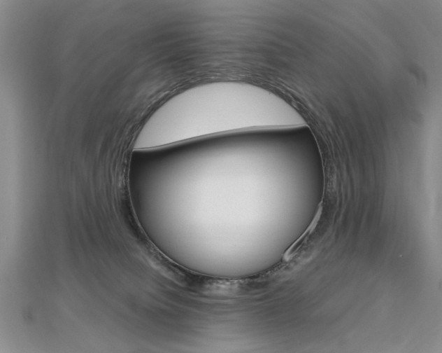 X0000112470084200908171000
