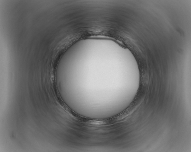 X0000112470085200908171000