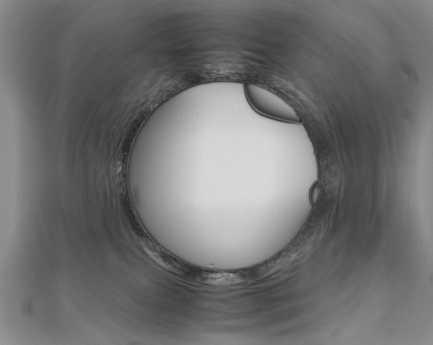 X0000112470087200908171000