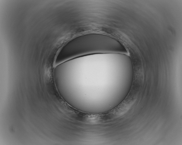 X0000112470088200908171000