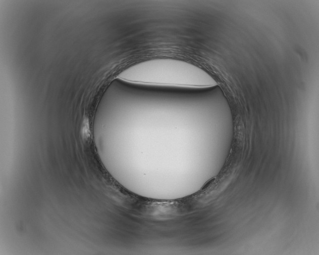 X0000112470089200908171000