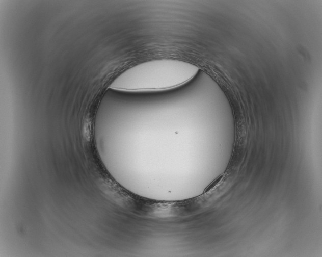 X0000112470090200908171000