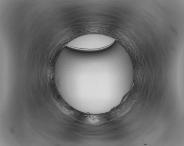X0000112470091200908171000