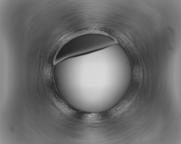 X0000112470092200908171000