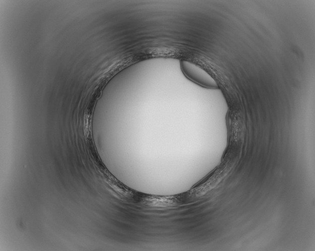 X0000112470093200908171000
