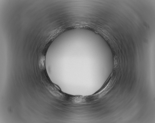 X0000112470094200908171000