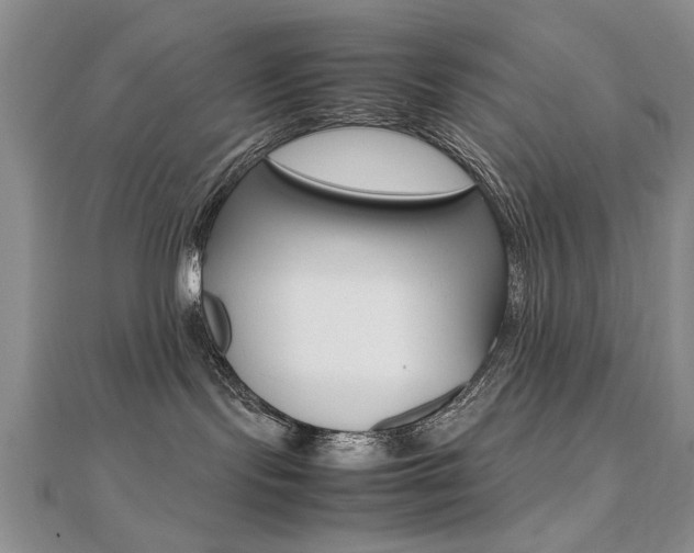 X0000112470095200908171000