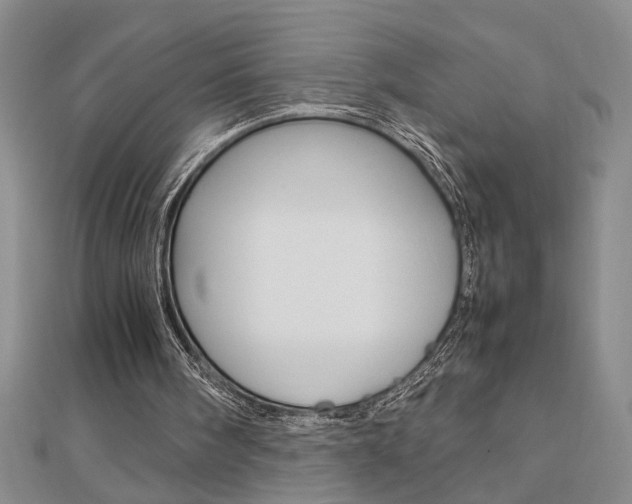 X0000112470098200908170959