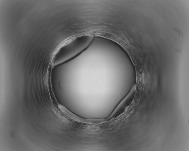 X0000112470100200908170959