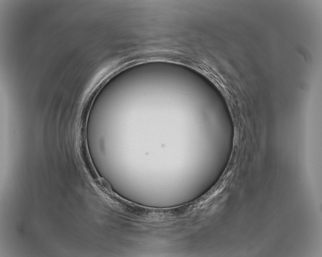 X0000112470101200908170959