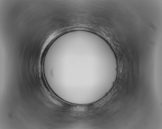 X0000112470102200908170959