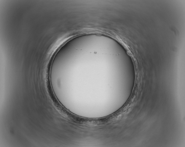 X0000112470103200908170959