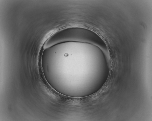 X0000112470104200908170959