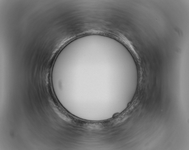 X0000112470106200908170959