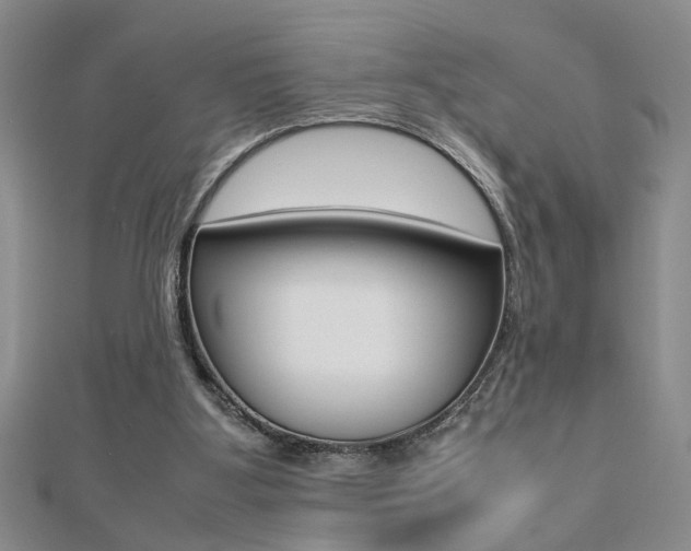 X0000112470107200908170959