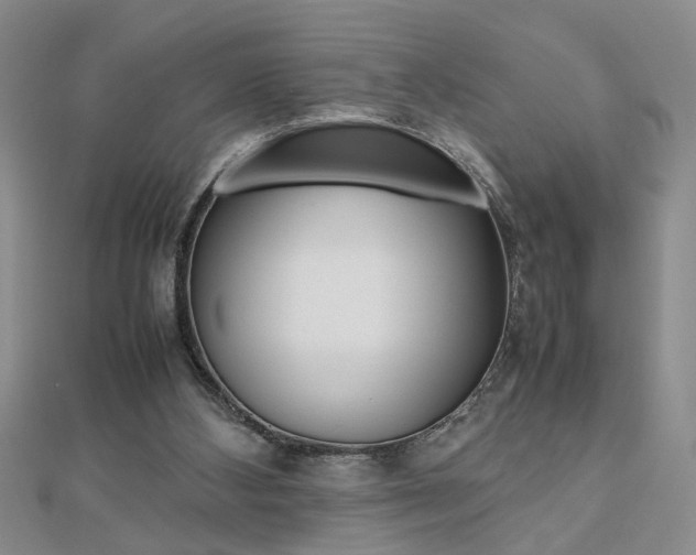 X0000112470108200908170959