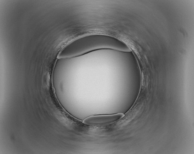 X0000112470109200908170959