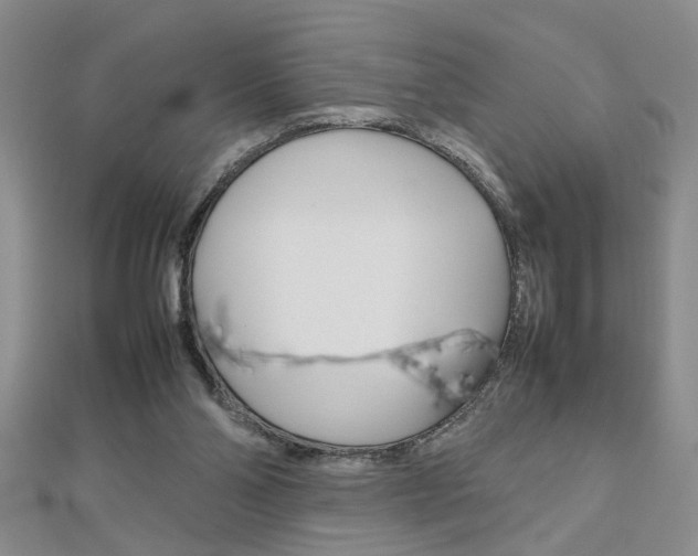 X0000112470110200908170959