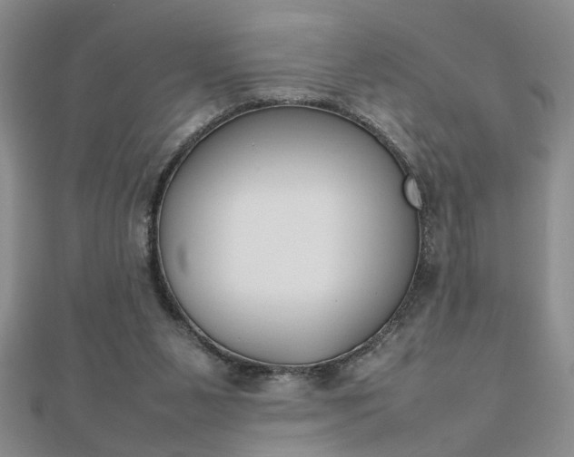 X0000112470111200908170959