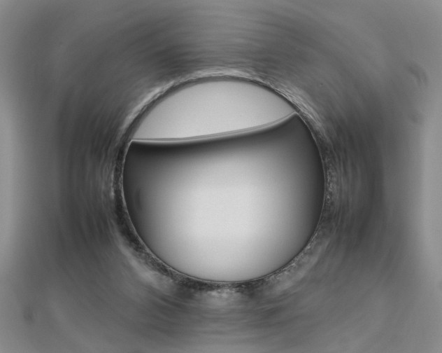 X0000112470112200908170959