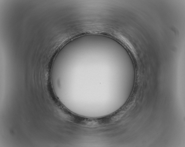 X0000112470113200908170959