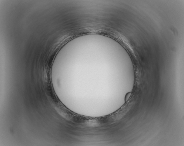 X0000112470114200908170959