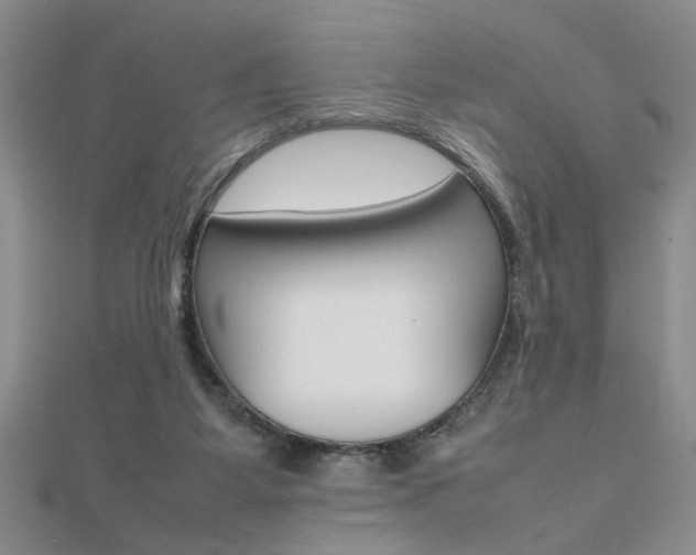 X0000112470115200908170959