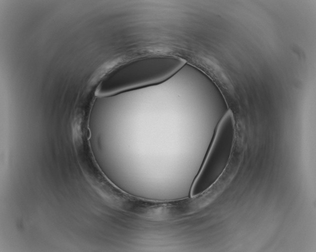 X0000112470116200908170959