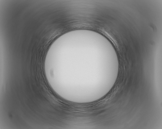 X0000112470117200908170959