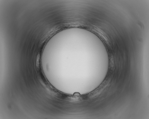 X0000112470118200908170959