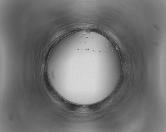X0000112470119200908170959