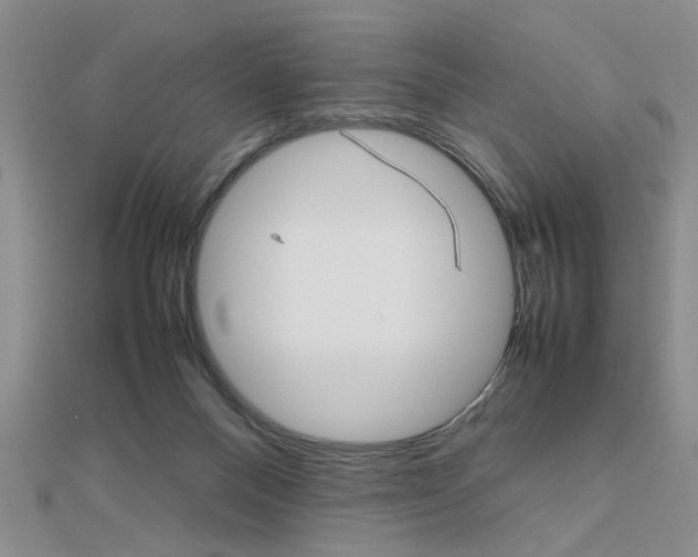 X0000112470120200908170959