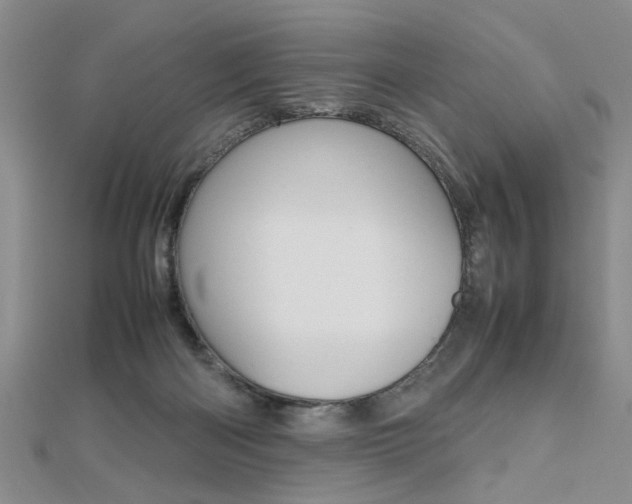 X0000112470122200908170959