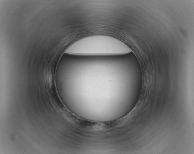 X0000112470124200908170959