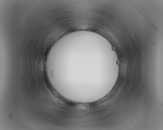 X0000112470126200908170959