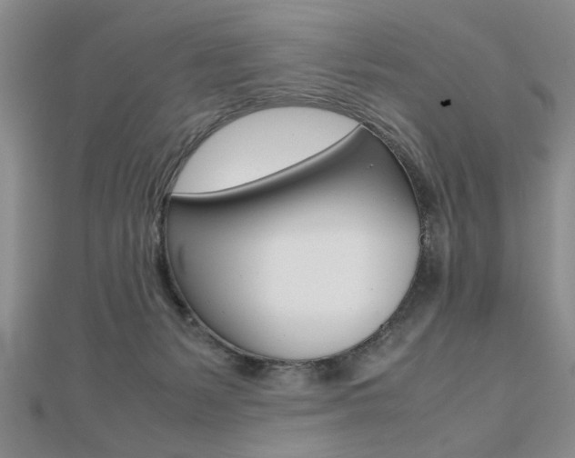X0000112470127200908170959