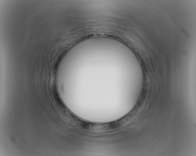 X0000112470129200908170958